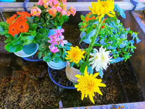 津島神社の自然