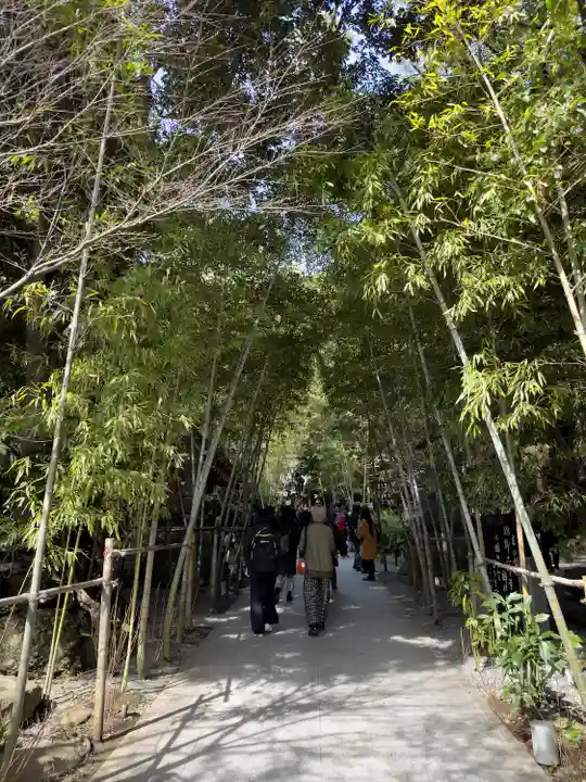 來宮神社(静岡県)