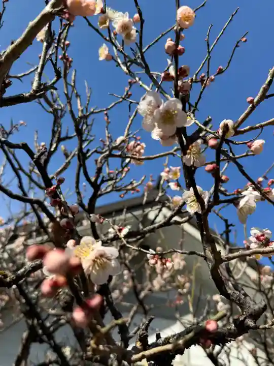 天河大辨財天社の御朱印