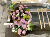 彌彦神社 (伊夜日子神社)の手水舎