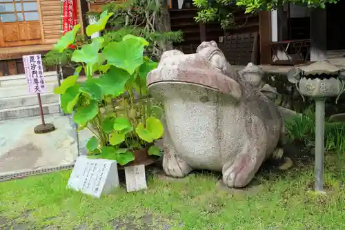 宗建寺の狛犬