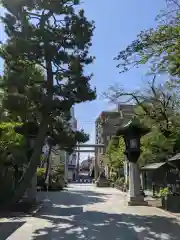 桜神宮の建物その他