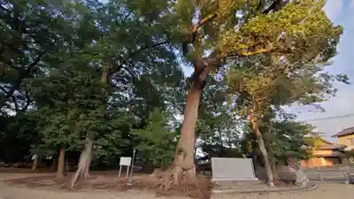 久保神社の自然