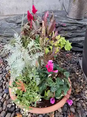 飯倉熊野神社(東京都)