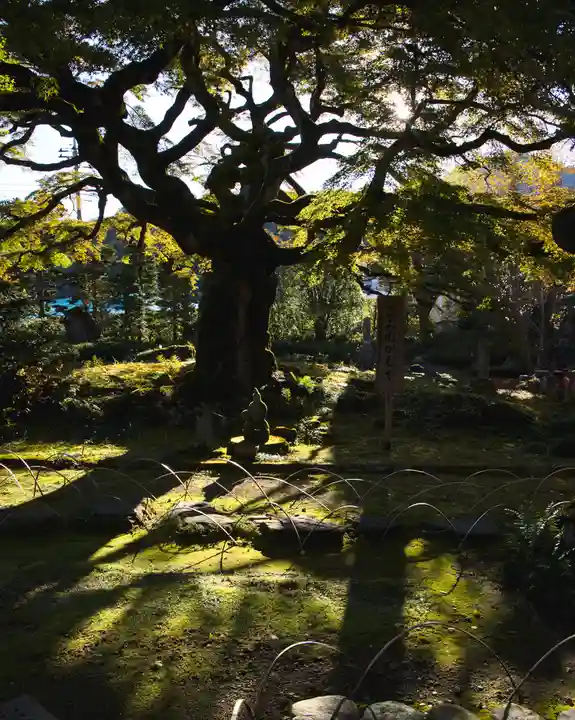 西善寺(埼玉県)
