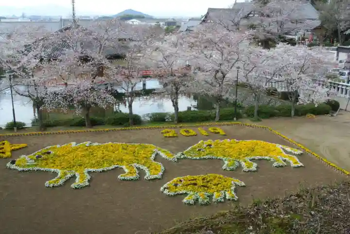 安倍文殊院 の庭園