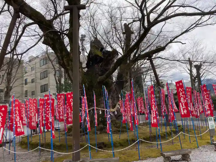 秩父今宮神社の自然