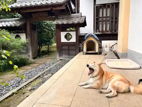 麟祥院(東京都)