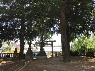 矢切神社の鳥居