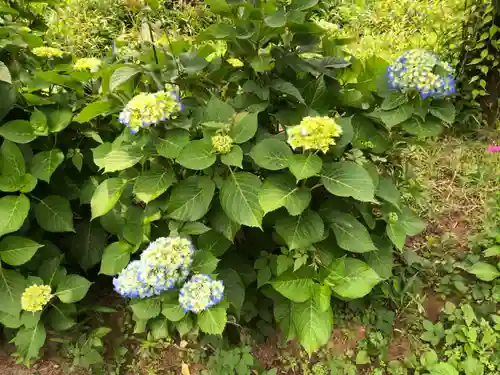 大生郷天満宮の自然
