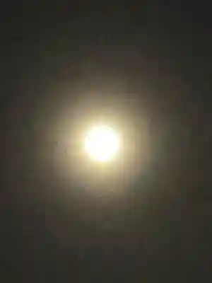 櫻木神社(千葉県)