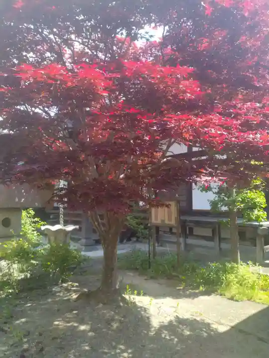 当信寺(宮城県)
