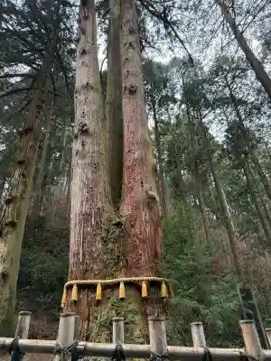 御岩神社の{uncategorized: "未分類", other: "その他", undefined: "問題あり", building: "その他建物", grave: "お墓", sacred_gate: "鳥居", guardian: "狛犬", statue: "像", buddha: "仏像", history: "歴史", nature: "自然", garden: "庭園", animal: "動物", pagoda: "塔", temizu: "手水舎", mountain_gate: "山門・神門", sanctuary: "本殿・本堂", subordinate: "末社・摂社", art: "芸術", scenery: "景色", jizo: "地蔵", ema: "絵馬", goshuin: "御朱印", omikuji: "おみくじ", items: "授与品その他", amulet: "お守り", goshuincho: "御朱印帳", eats: "食事", festival: "お祭り", votive_dance: "神楽", shichigosan: "七五三参", wedding: "結婚式", experience: "体験その他", initially: "初詣", around: "周辺", anti_infection: "感染症対策"}