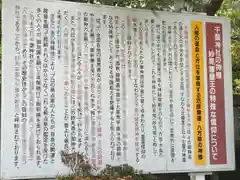 千葉神社の歴史