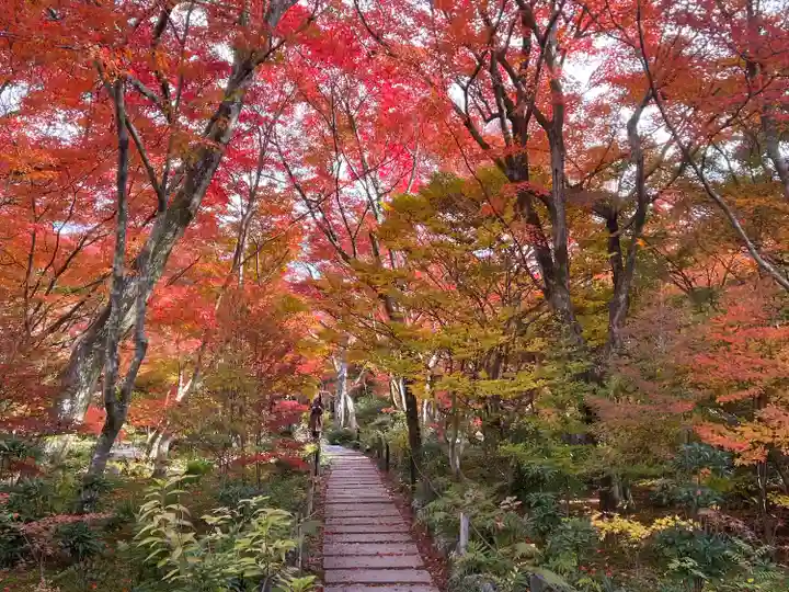 宝筐院(京都府)