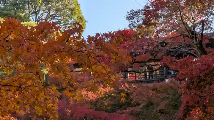 東福禅寺(東福寺)(京都府)