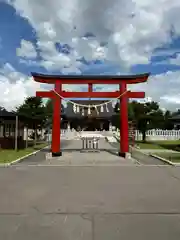 美瑛神社の鳥居