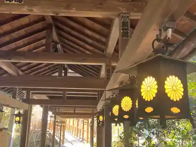 川越氷川神社(埼玉県)