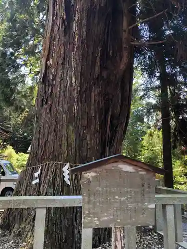 愛宕神社の自然