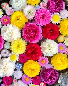 伊達神社の手水舎(2022年05月28日(土) 10時53分41秒投稿)