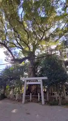 松阪神社(三重県)