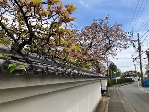 福聚院(神奈川県)