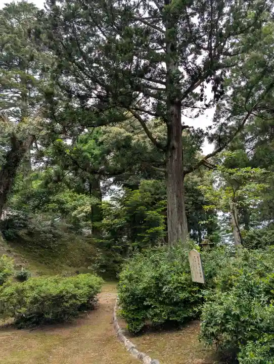 気多神社の{uncategorized: "未分類", other: "その他", undefined: "問題あり", building: "その他建物", grave: "お墓", sacred_gate: "鳥居", guardian: "狛犬", statue: "像", buddha: "仏像", history: "歴史", nature: "自然", garden: "庭園", animal: "動物", pagoda: "塔", temizu: "手水舎", mountain_gate: "山門・神門", sanctuary: "本殿・本堂", subordinate: "末社・摂社", art: "芸術", scenery: "景色", jizo: "地蔵", ema: "絵馬", goshuin: "御朱印", omikuji: "おみくじ", items: "授与品その他", amulet: "お守り", goshuincho: "御朱印帳", eats: "食事", festival: "お祭り", votive_dance: "神楽", shichigosan: "七五三参", wedding: "結婚式", experience: "体験その他", initially: "初詣", around: "周辺", anti_infection: "感染症対策"}