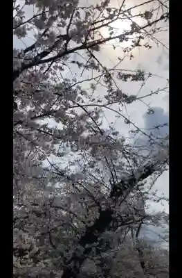 寛永寺不忍池弁天堂の{uncategorized: "未分類", other: "その他", undefined: "問題あり", building: "その他建物", grave: "お墓", sacred_gate: "鳥居", guardian: "狛犬", statue: "像", buddha: "仏像", history: "歴史", nature: "自然", garden: "庭園", animal: "動物", pagoda: "塔", temizu: "手水舎", mountain_gate: "山門・神門", sanctuary: "本殿・本堂", subordinate: "末社・摂社", art: "芸術", scenery: "景色", jizo: "地蔵", ema: "絵馬", goshuin: "御朱印", omikuji: "おみくじ", items: "授与品その他", amulet: "お守り", goshuincho: "御朱印帳", eats: "食事", festival: "お祭り", votive_dance: "神楽", shichigosan: "七五三参", wedding: "結婚式", experience: "体験その他", initially: "初詣", around: "周辺", anti_infection: "感染症対策"}