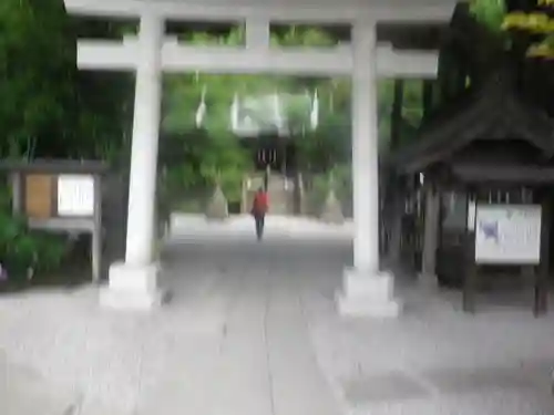 御霊神社の鳥居