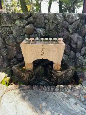 津照寺の{uncategorized: "未分類", other: "その他", undefined: "問題あり", building: "その他建物", grave: "お墓", sacred_gate: "鳥居", guardian: "狛犬", statue: "像", buddha: "仏像", history: "歴史", nature: "自然", garden: "庭園", animal: "動物", pagoda: "塔", temizu: "手水舎", mountain_gate: "山門・神門", sanctuary: "本殿・本堂", subordinate: "末社・摂社", art: "芸術", scenery: "景色", jizo: "地蔵", ema: "絵馬", goshuin: "御朱印", omikuji: "おみくじ", items: "授与品その他", amulet: "お守り", goshuincho: "御朱印帳", eats: "食事", festival: "お祭り", votive_dance: "神楽", shichigosan: "七五三参", wedding: "結婚式", experience: "体験その他", initially: "初詣", around: "周辺", anti_infection: "感染症対策"}
