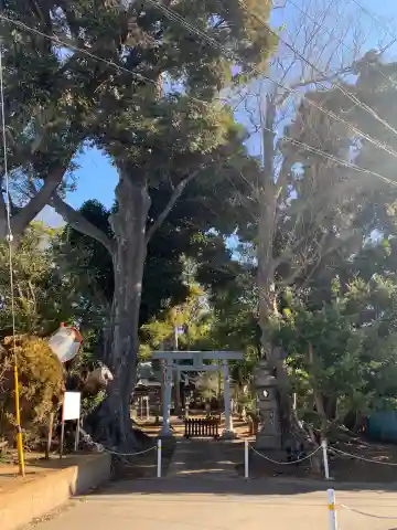 神明大神社の鳥居