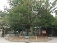 熊野速玉大社(和歌山県)