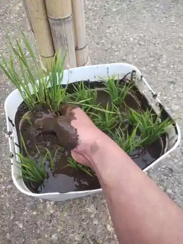 七重浜海津見神社の体験その他