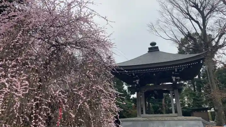 流泉寺のその他建物