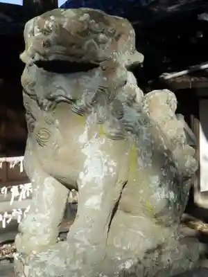縣神社の狛犬