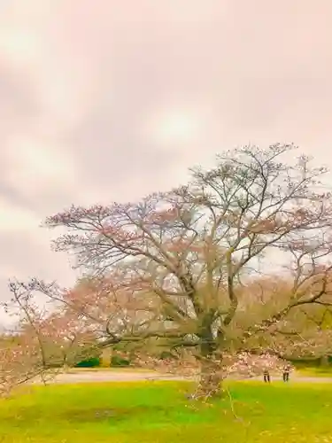 女化神社の自然