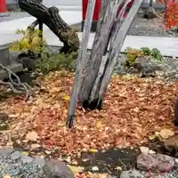 彌彦神社 (伊夜日子神社)(北海道)