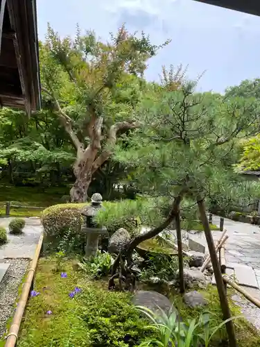 圓光寺(京都府)