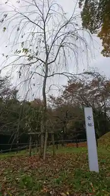 田村神社の自然
