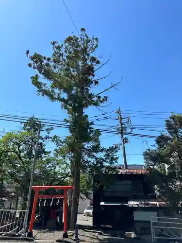 弁財天(山梨県)