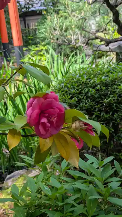 宝蔵寺(京都府)
