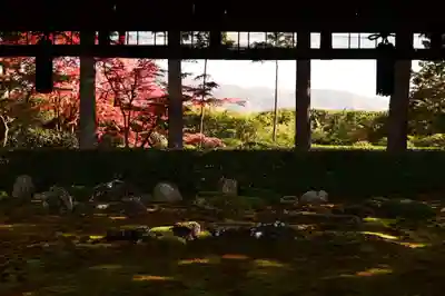 圓通寺(京都府)