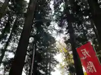 大宮温泉神社(栃木県)