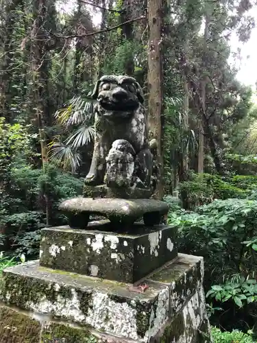 今村神宮の狛犬