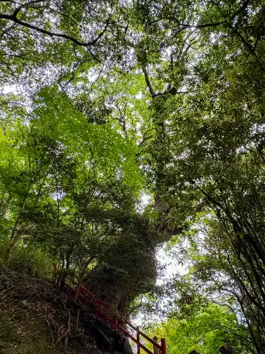 新田神社(鹿児島県)
