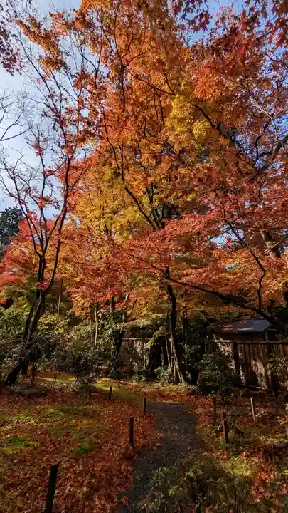 来迎院(京都府)
