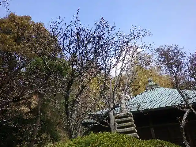 浄光明寺の自然