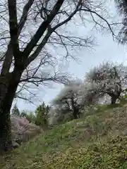 蓮蔵寺(福島県)
