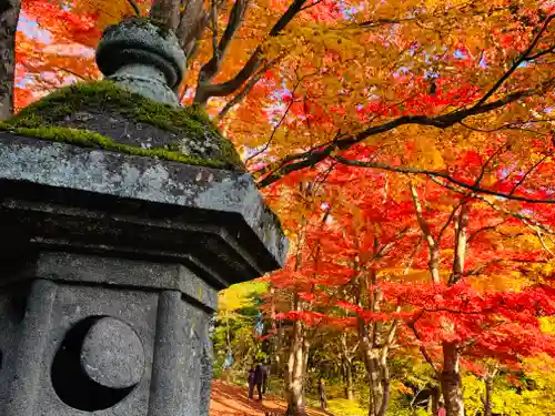 土津神社｜こどもと出世の神さまの景色