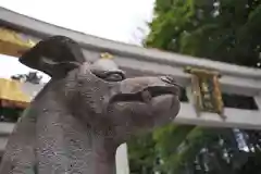 三峯神社の狛犬